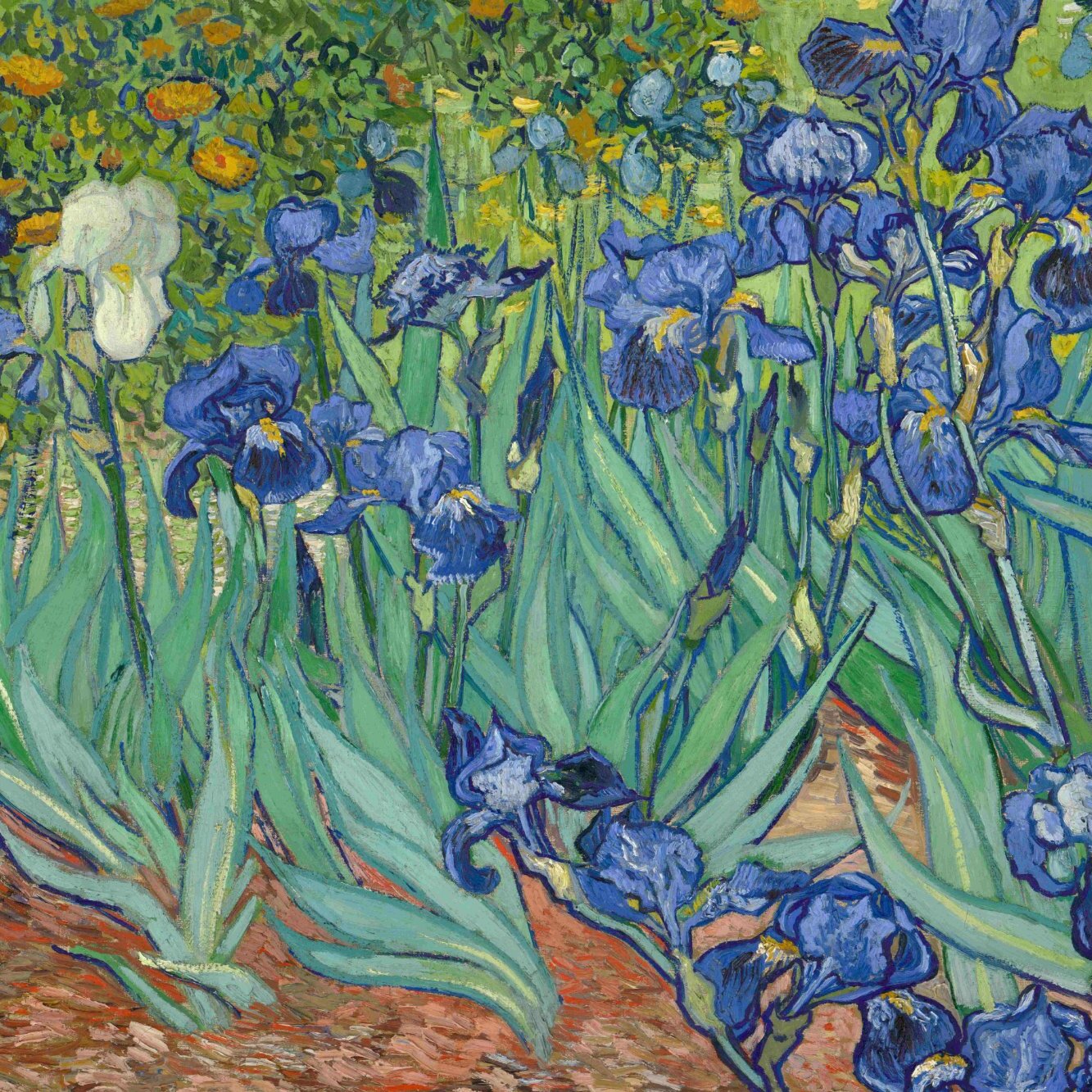 Classic Fine Art