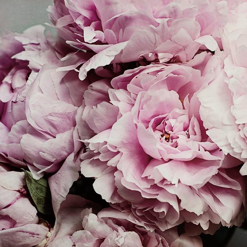 Photography Art