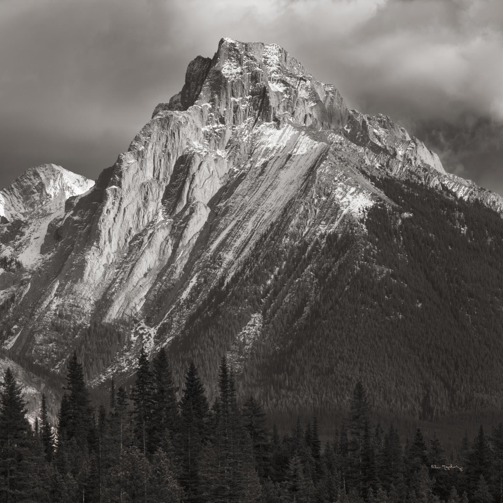 Black & White Art