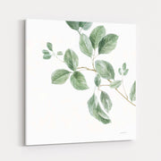 A Study Of Leaves by Danhui Nai wall art