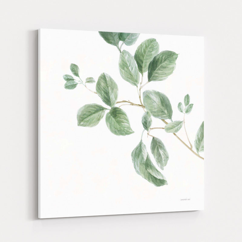 A Study Of Leaves by Danhui Nai wall art