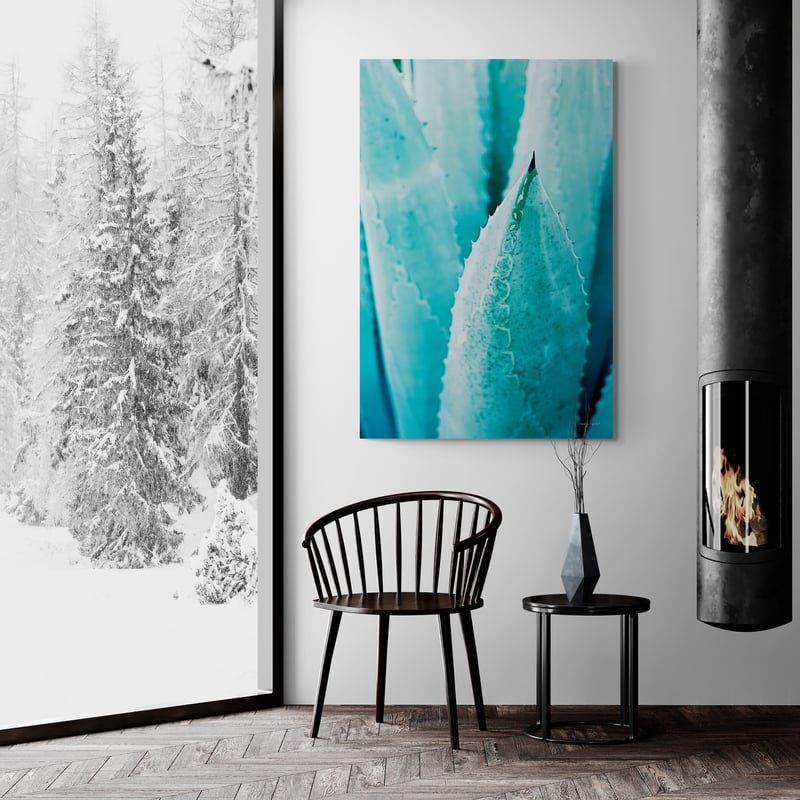 Abstract Agava II Color by Elizabeth Urquhart wall art in a living room