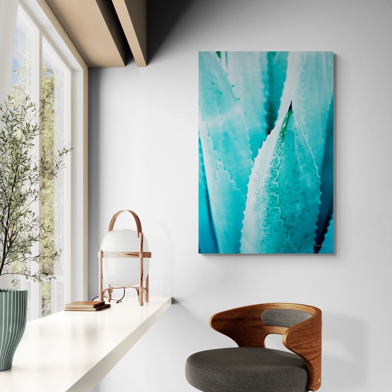 Abstract Agava II Color by Elizabeth Urquhart wall art from Glam Wall Art