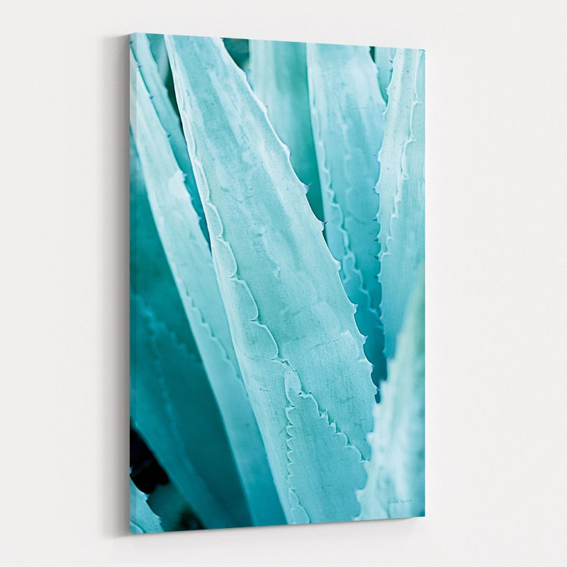 Abstract Agava IV Color by Elizabeth Urquhart wall art