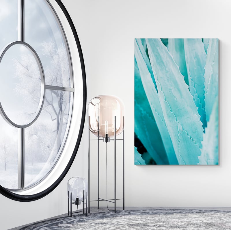 Abstract Agava IV Color by Elizabeth Urquhart wall art in a living room