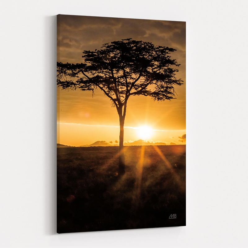 African Sunrise by Max Blakesberg Studios wall art