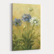 Agapanthus III by Danhui Nai wall art