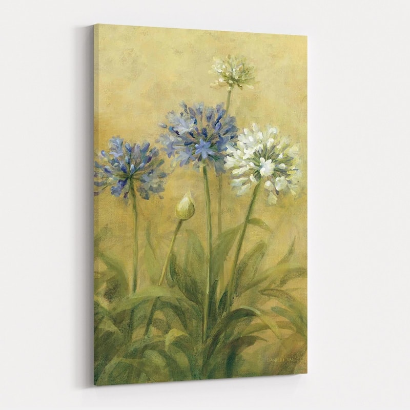 Agapanthus III by Danhui Nai wall art