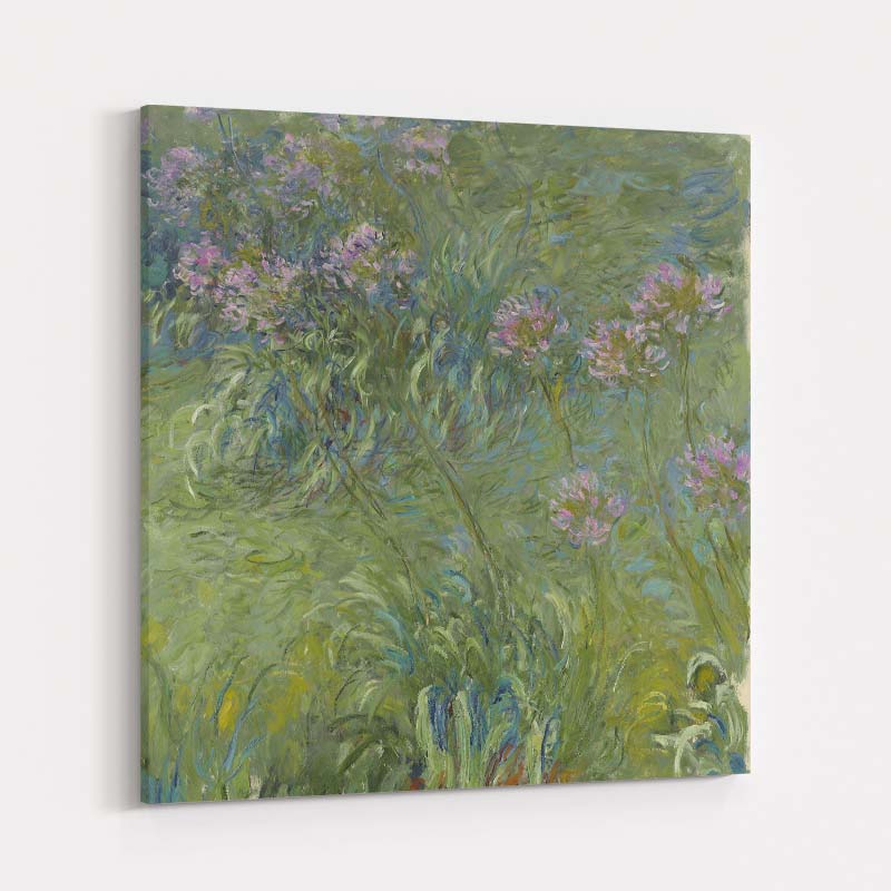 Agapanthus 1914-1926 by Claude Monet wall art