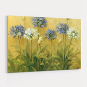 Agapanthus by Danhui Nai wall art