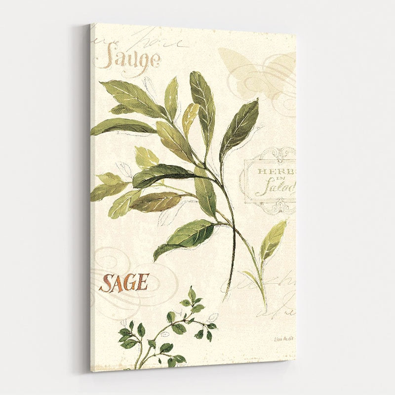 Aromantique IV by Lisa Audit wall art