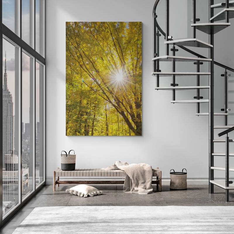 Autumn Foliage Sunburst I by Alan Majchrowicz wall art in a hallway