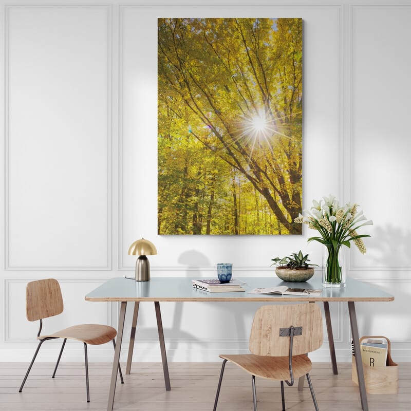 Autumn Foliage Sunburst I by Alan Majchrowicz wall art from Glam Wall Art
