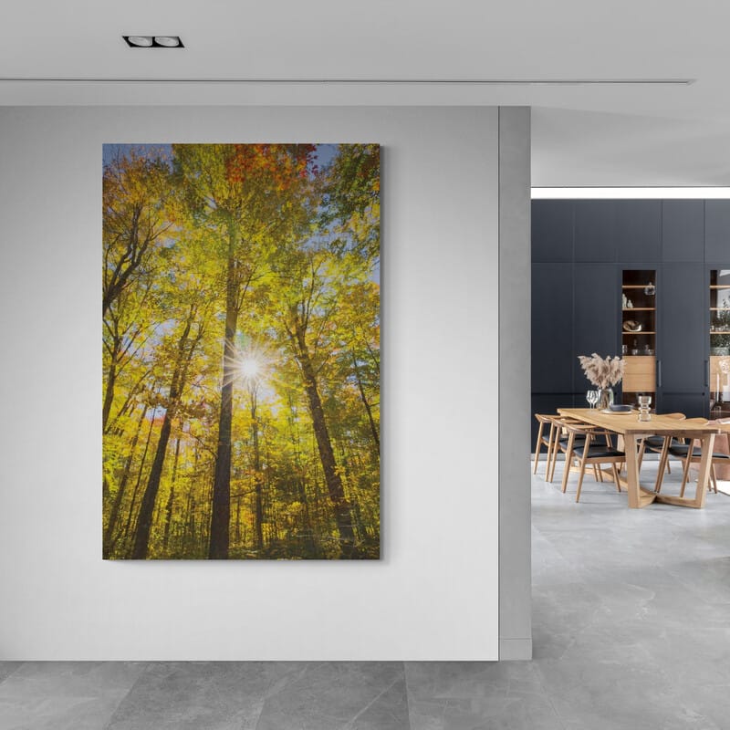 Autumn Foliage Sunburst Iii by Alan Majchrowicz wall art from Glam Wall Art