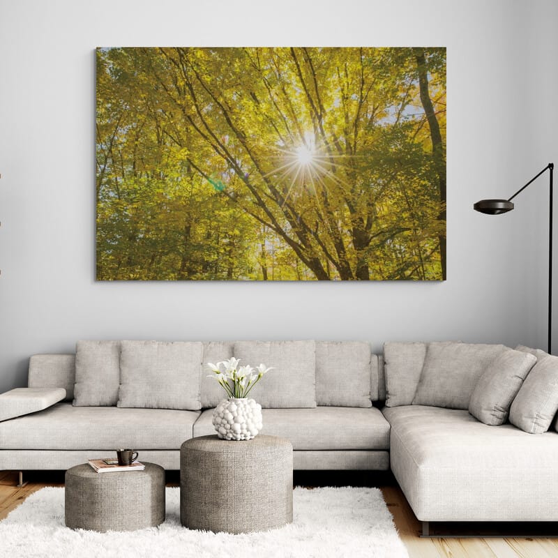 Autumn Foliage Sunburst V by Alan Majchrowicz wall art in a living room