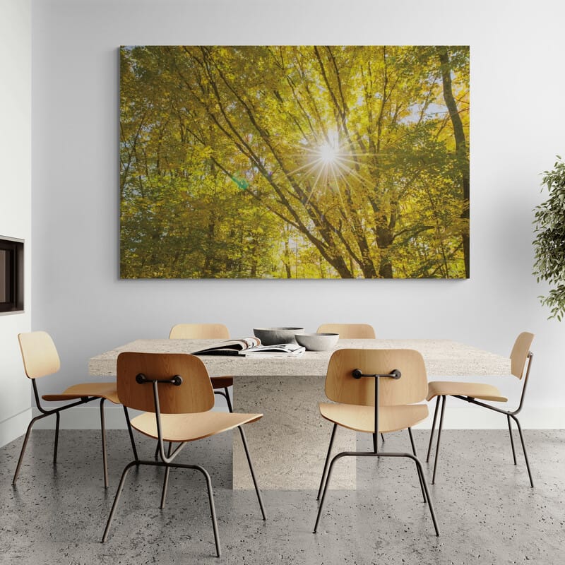 Autumn Foliage Sunburst V by Alan Majchrowicz wall art from Glam Wall Art