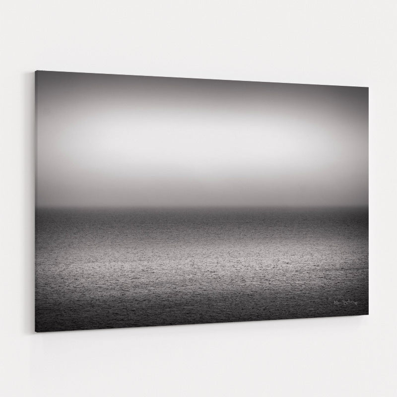 Bay Of Fundy Bw by Alan Majchrowicz wall art