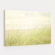 Beach Grass II by Elizabeth Urquhart wall art