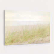 Beach Grass IV by Elizabeth Urquhart wall art