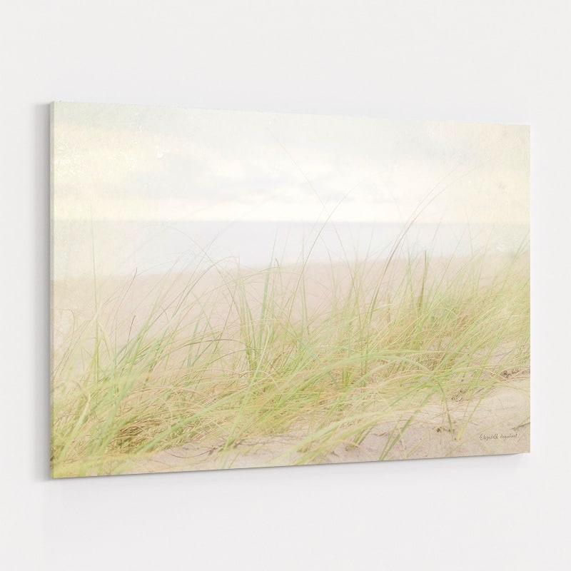 Beach Grass IV by Elizabeth Urquhart wall art
