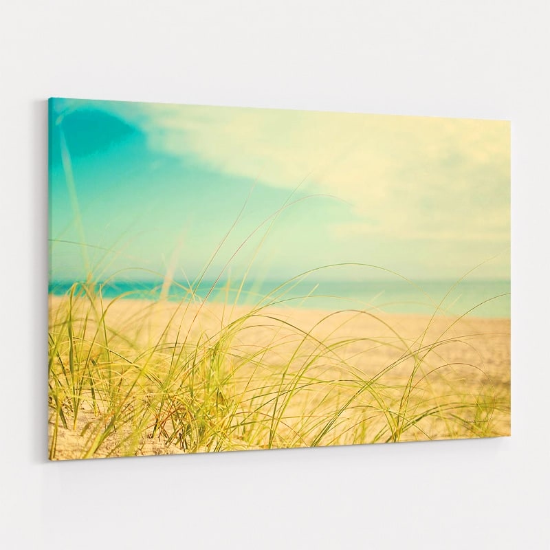 Beach Grass V by Elizabeth Urquhart wall art