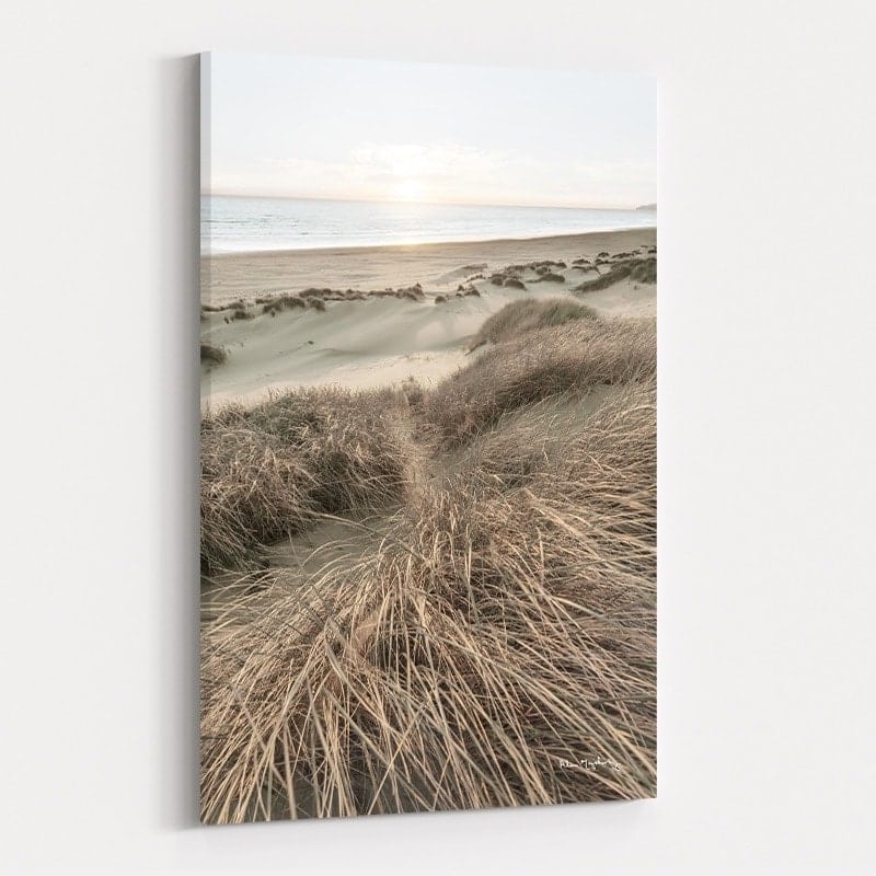 Beach Grasses by Alan Majchrowicz wall art