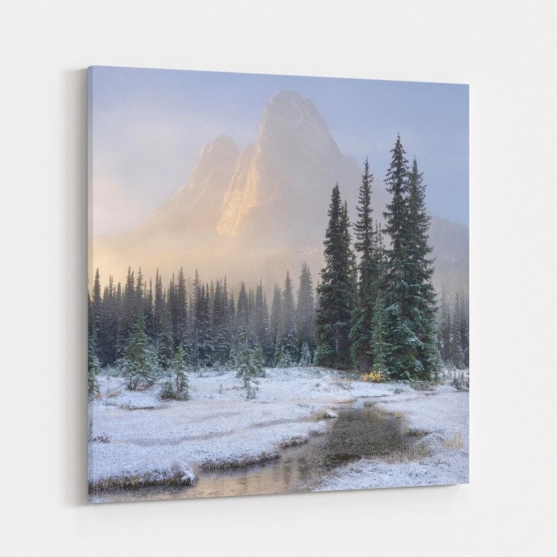 Bell Mountain North Cascades II by Alan Majchrowicz wall art