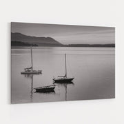 Bellingham Bay Bw by Alan Majchrowicz wall art