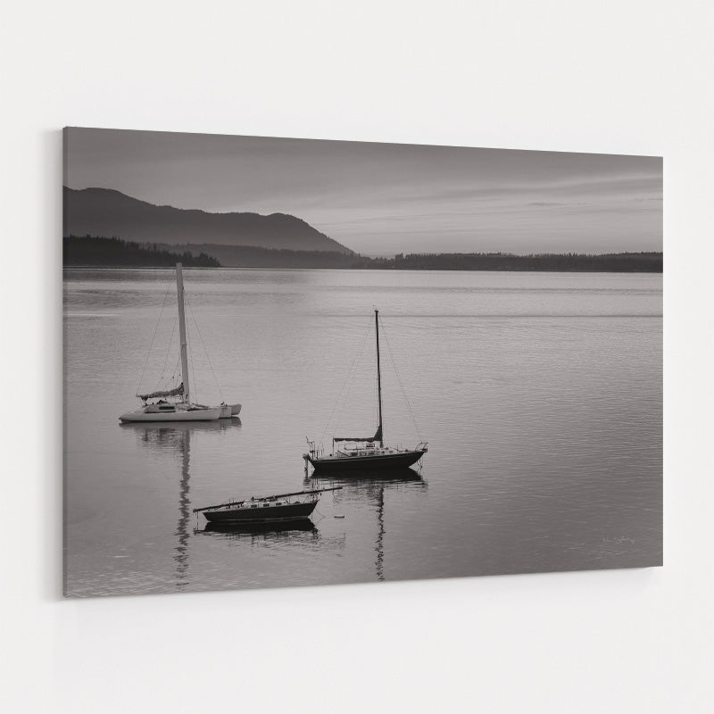Bellingham Bay Bw by Alan Majchrowicz wall art