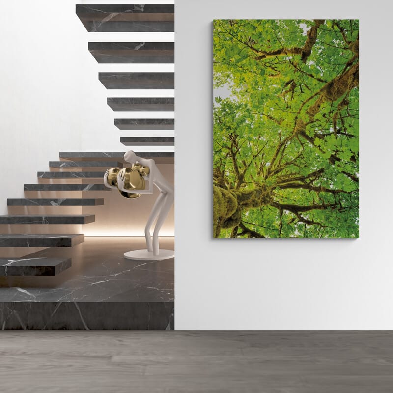 Big Leaf Maple Trees V by Alan Majchrowicz wall art from Glam Wall Art