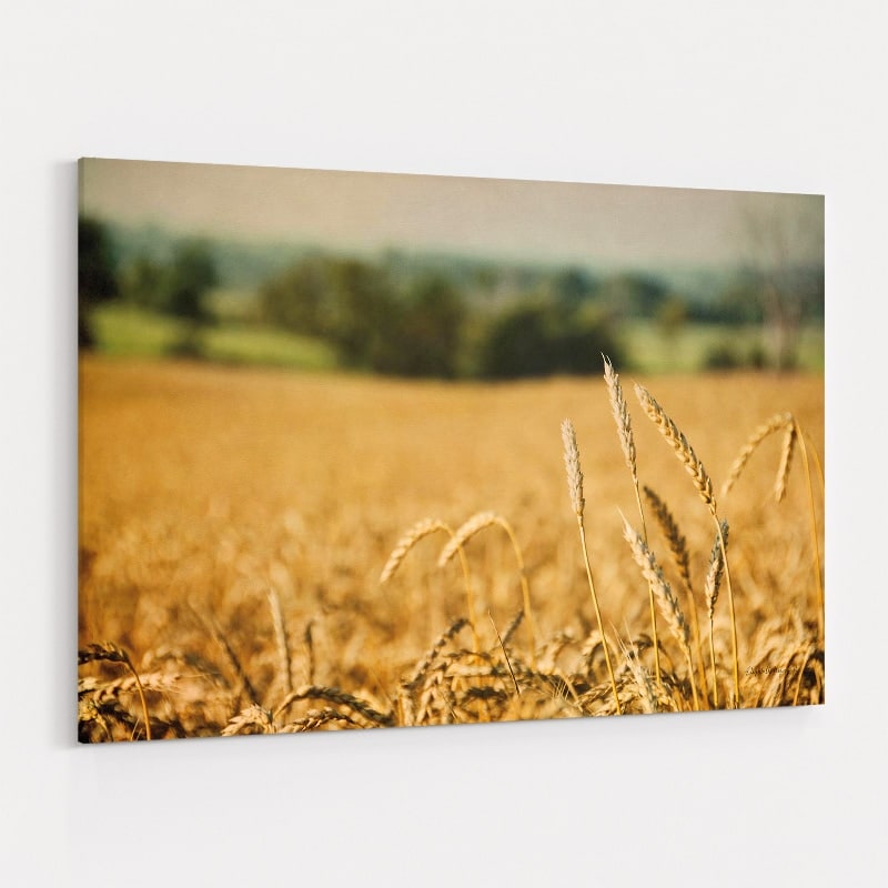 Blissful Country I by Elizabeth Urquhart wall art