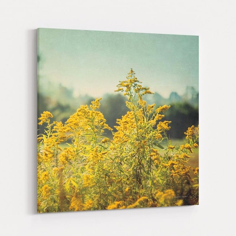 Blissful Country IV Crop by Elizabeth Urquhart wall art