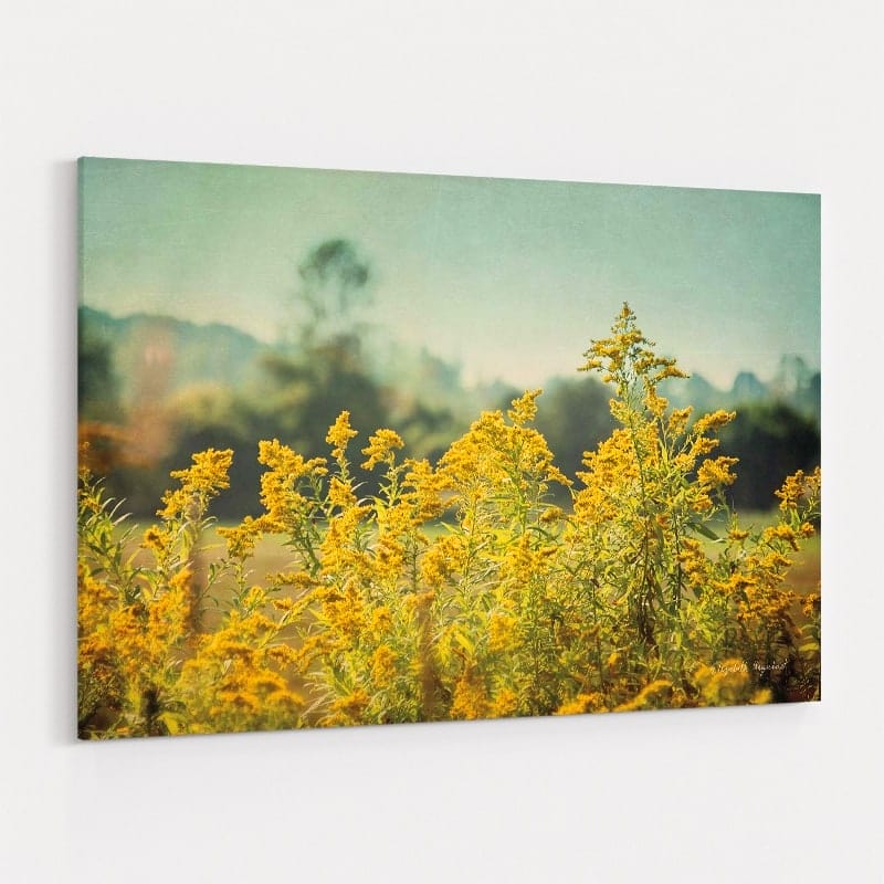 Blissful Country IV by Elizabeth Urquhart wall art