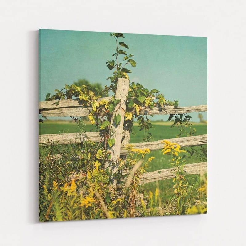 Blissful Country V Crop by Elizabeth Urquhart wall art