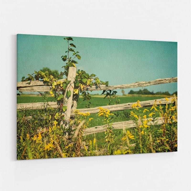 Blissful Country V by Elizabeth Urquhart wall art
