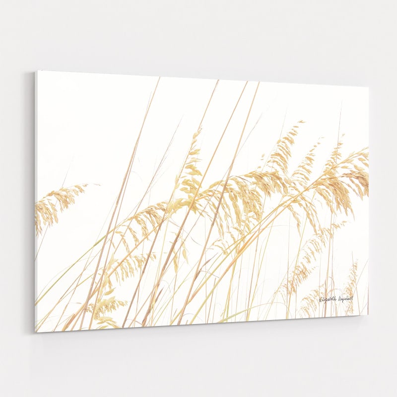 Blowing In The Wind I by Elizabeth Urquhart wall art