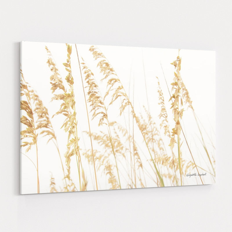 Blowing In The Wind II by Elizabeth Urquhart wall art
