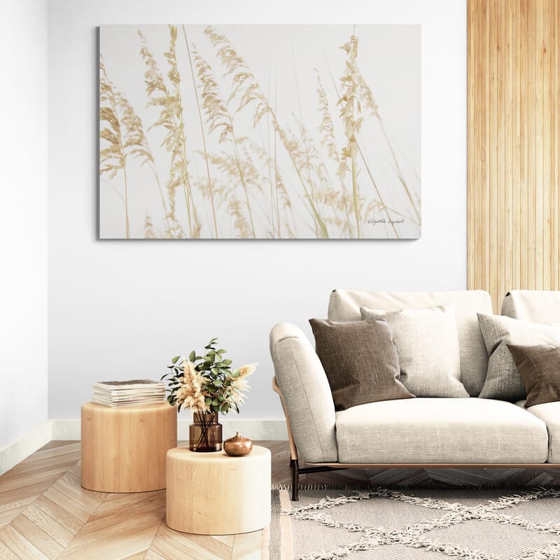 Blowing In The Wind II by Elizabeth Urquhart wall art in a living room