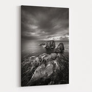 Bonavista Peninsula by Alan Majchrowicz wall art