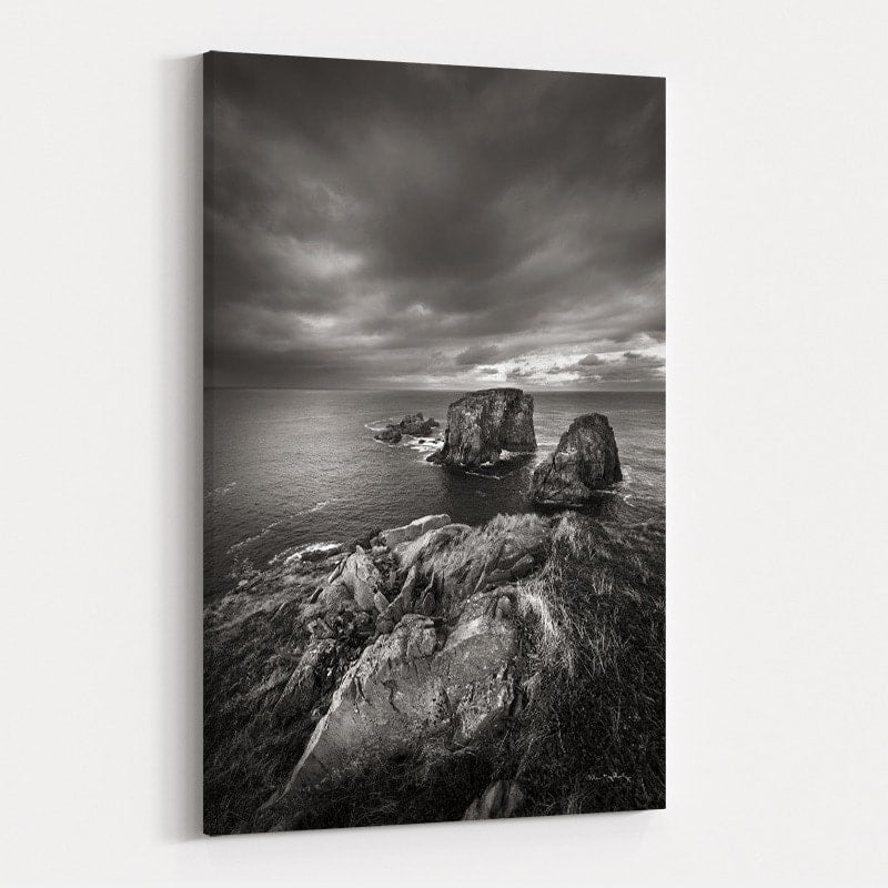 Bonavista Peninsula by Alan Majchrowicz wall art