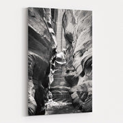 Buckskin Gulch IV Bw by Alan Majchrowicz wall art