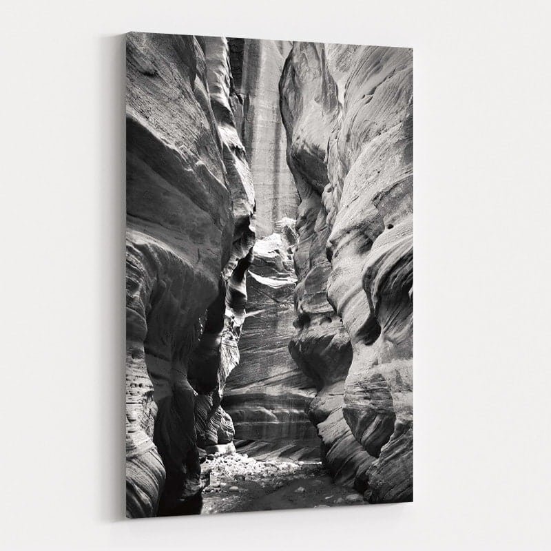 Buckskin Gulch IV Bw by Alan Majchrowicz wall art