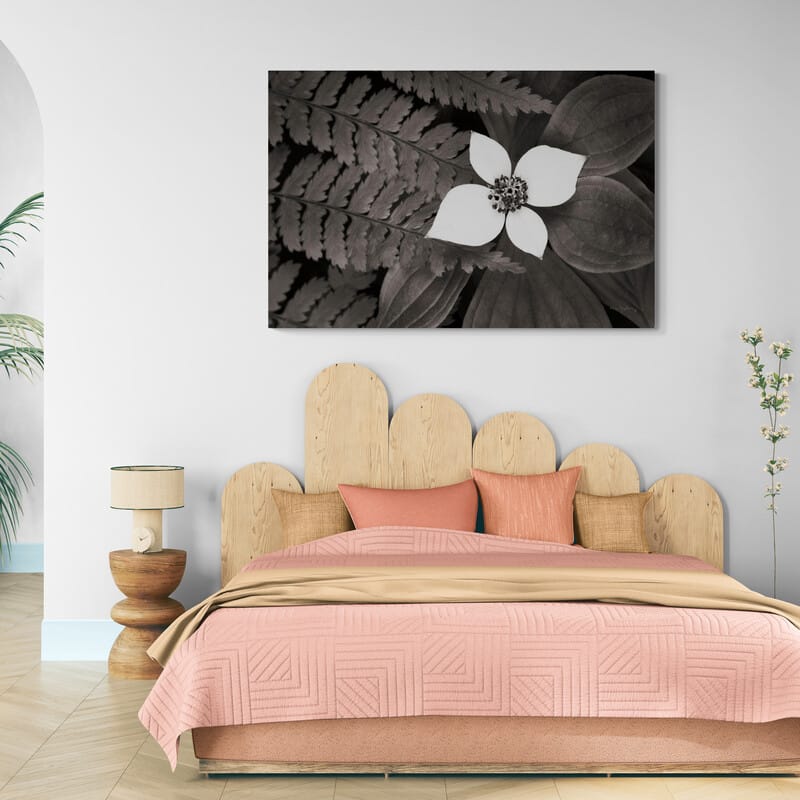 Bunchberry And Ferns Ii Bw by Alan Majchrowicz wall art from Glam Wall Art