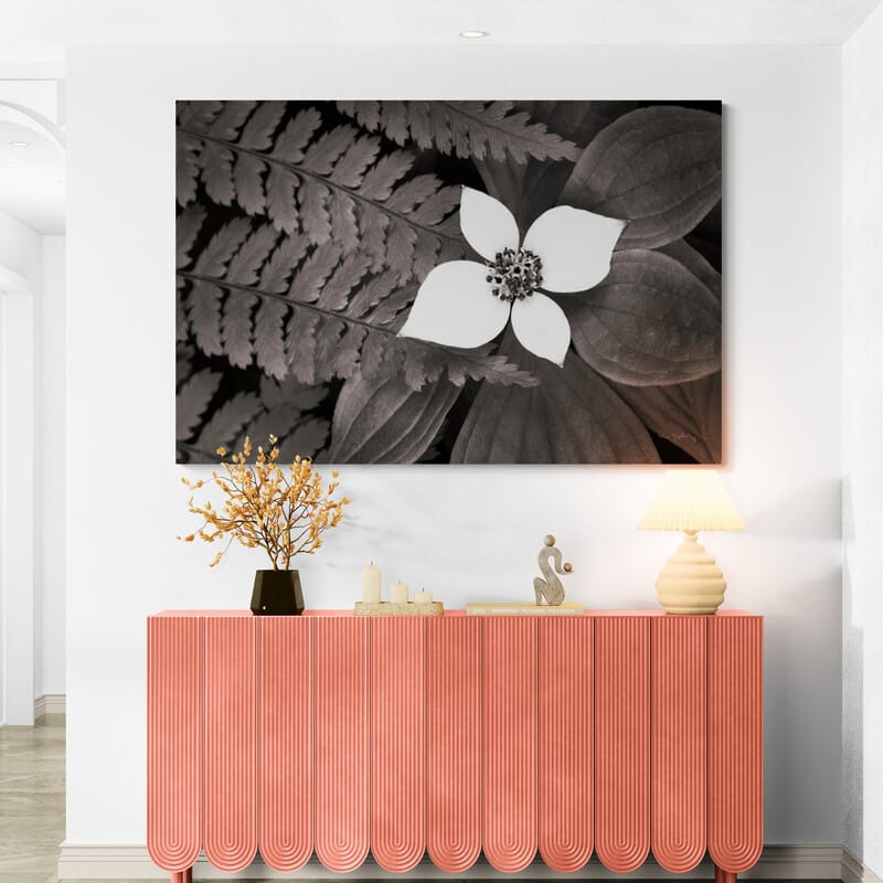 Bunchberry And Ferns Ii Bw by Alan Majchrowicz wall art in a hallway