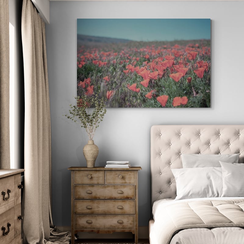 California Blooms I by Elizabeth Urquhart wall art from Glam Wall Art