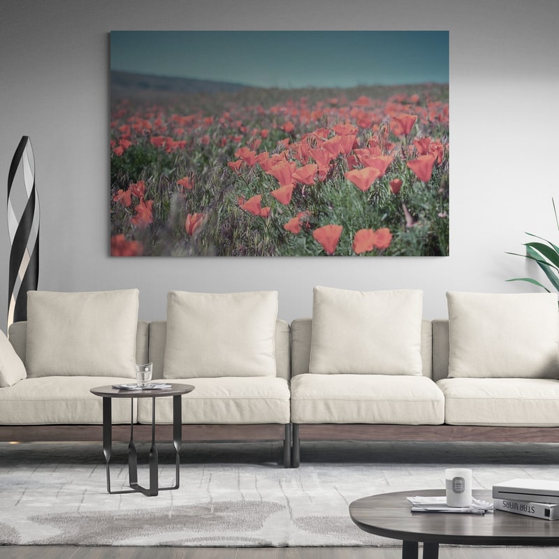 California Blooms I by Elizabeth Urquhart wall art in a living room