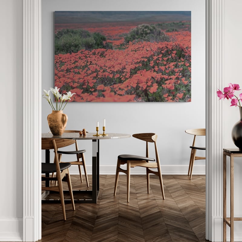 California Blooms II by Elizabeth Urquhart wall art from Glam Wall Art