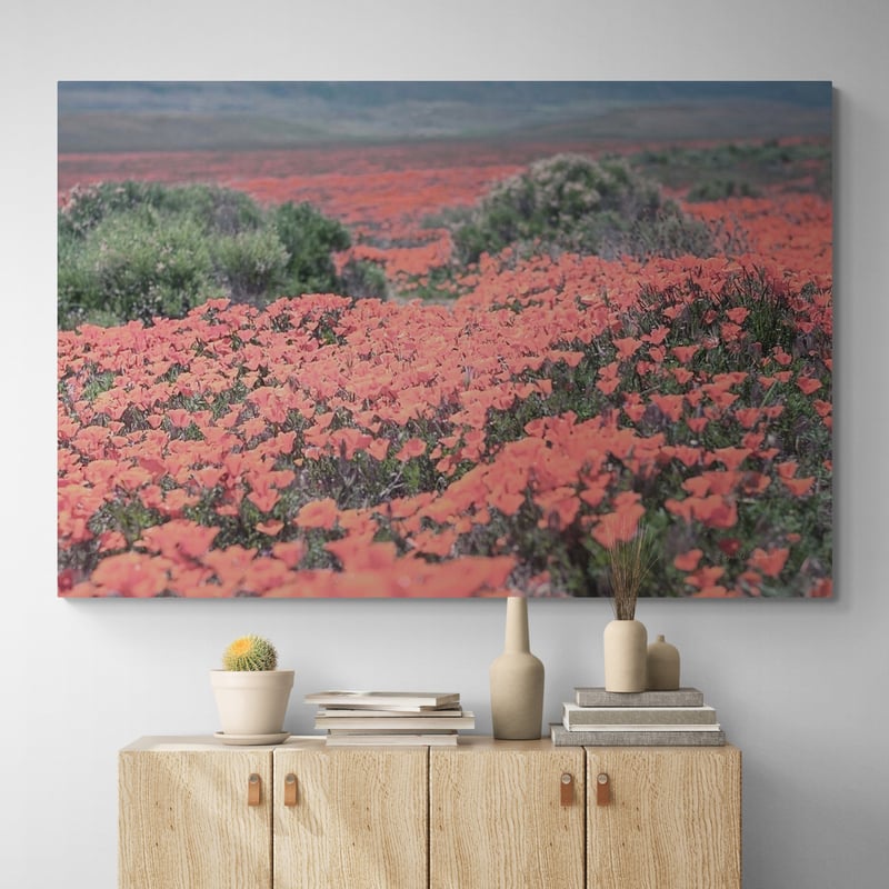 California Blooms II by Elizabeth Urquhart wall art in a hallway