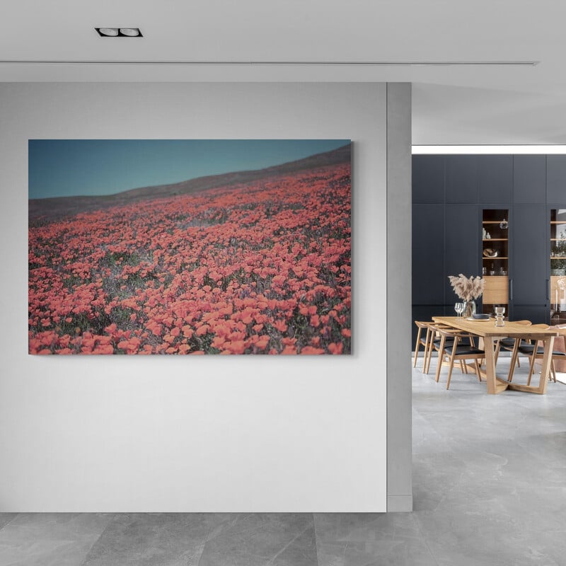 California Blooms III by Elizabeth Urquhart wall art from Glam Wall Art
