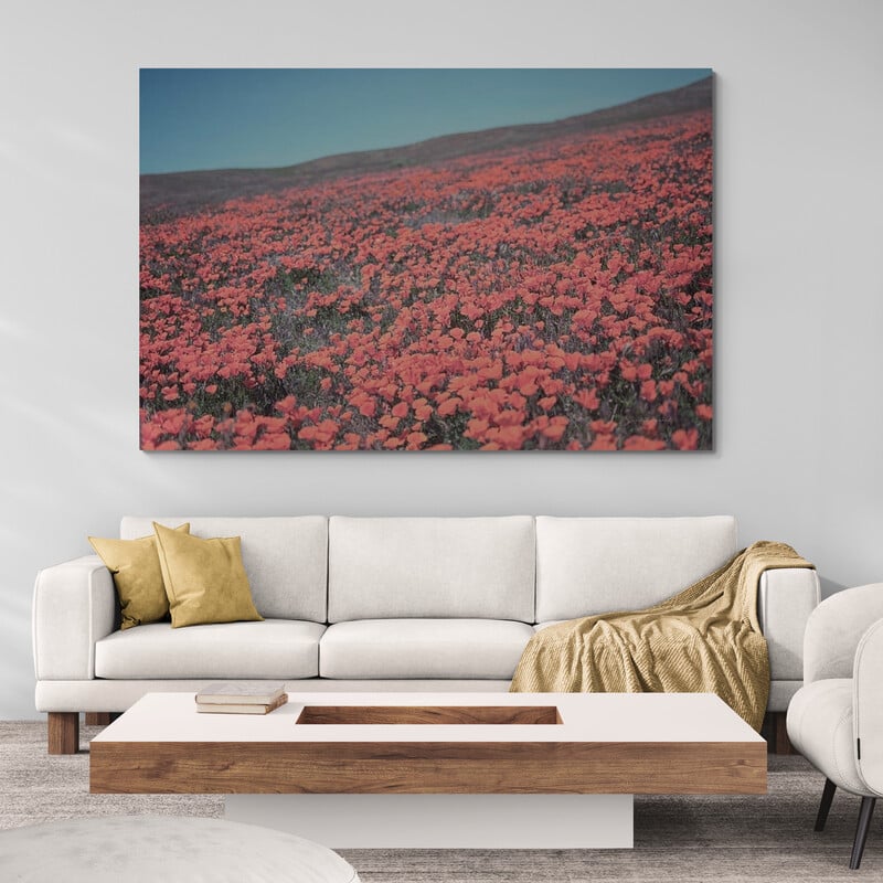 California Blooms III by Elizabeth Urquhart wall art in a living room